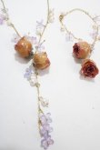 画像2: axes femme / 薔薇×パールブレスレット  ゴールド Y-25-03-10-030-AX-AC-SZ-ZY (2)