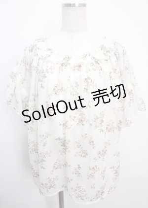 画像: axes femme / バックシャンエスパンディプルオーバー  キナリ Y-25-03-14-023-AX-TO-SZ-OS