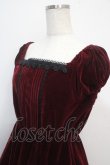 画像3: ATELIER PIERROT / Shadowy Soiree Dress  ワイン Y-25-03-21-115-EL-OP-SZ-ZY (3)