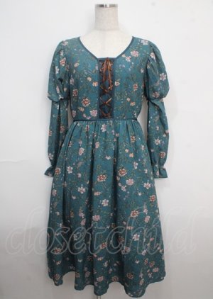 画像: axes femme Nostalgic / ボタニカル柄レースアップワンピース M Bグリーン Y-25-03-22-069-LO-OP-SZ-OS
