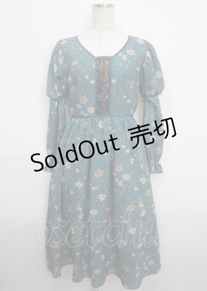 画像: axes femme Nostalgic / ボタニカル柄レースアップワンピース M Bグリーン Y-25-03-22-069-LO-OP-SZ-OS