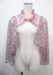 画像1: axes femme kawaii / ブルーミングレースケープ M ピンク Y-25-03-26-077-AX-JA-SZ-ZY (1)