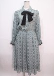 画像1: axes femme / 総柄シアーロングワンピース  ミント Y-25-04-01-121-AX-OP-SZ-ZI (1)