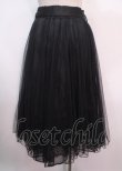 画像2: axes femme POETIQUE / レース×チュールロングスカート M 黒 Y-25-04-01-156-AX-SK-SZ-ZY (2)