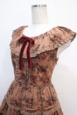画像3: Victorian maiden / ローズフリルカラーワンピース  ブラウン Y-25-04-15-125-CL-OP-SZ-ZY (3)