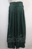 画像2: Hoshibako Works / 繁花集スカート  グリーン Y-25-04-20-123-LO-SK-SZ-ZY (2)