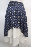 画像2: axes femme / 格子ローズプリントスカート M 紺 Y-25-04-21-141-AX-SK-SZ-ZY (2)