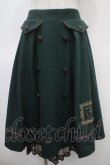 画像1: axes femme / 薔薇×額縁刺繍ミドルスカート M グリーン Y-25-04-23-148-AX-SK-SZ-ZY (1)