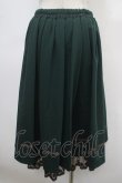 画像2: axes femme / 薔薇×額縁刺繍ミドルスカート M グリーン Y-25-04-23-148-AX-SK-SZ-ZY (2)