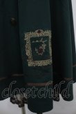 画像3: axes femme / 薔薇×額縁刺繍ミドルスカート M グリーン Y-25-04-23-148-AX-SK-SZ-ZY (3)