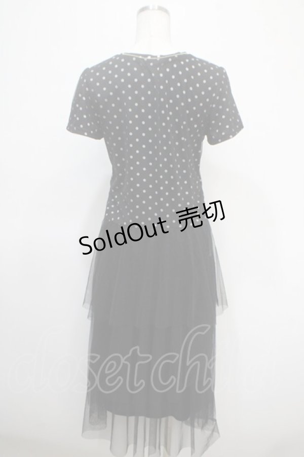 画像2: axes femme / ドットチュールレースワンピース M 黒 Y-25-04-26-071-AX-OP-SZ-ZI (2)