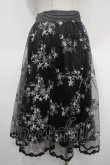 画像2: axes femme / カラー刺繍レーススカート M 黒 Y-25-04-26-128-AX-SK-SZ-ZY (2)