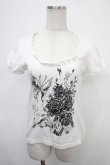 画像1: BPN / 薔薇＆蝶ptカットソー M 白 Y-25-04-30-108-GO-TO-SZ-ZY (1)
