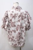 画像2: axes femme / タイ付トワルドジュイ風柄ブラウス  茶×白 Y-25-05-22-048-AX-BL-SZ-ZY (2)