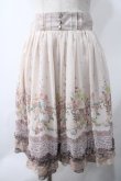 画像1: axes femme / スカート   Y-25-05-22-202-AX-SK-AS-ZY (1)