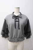 画像1: axes femme POETIQUE / チュールスリーブスウェット M グレー Y-25-05-22-042-AX-TO-SZ-ZY (1)