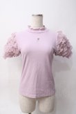 画像1: axes femme POETIQUE / ローズ刺繍フリル袖カットプルオーバー M ピンク Y-25-06-06-058-AX-TO-SZ-ZY (1)