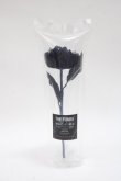 画像1: ATELIER PIERROT / Gothic Corset Skirt Rose アーティフィシャルフラワー  ネイビー Y-25-06-06-011-EL-ZA-SZ-ZY (1)
