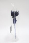画像2: ATELIER PIERROT / Gothic Corset Skirt Rose アーティフィシャルフラワー  ネイビー Y-25-06-06-011-EL-ZA-SZ-ZY (2)