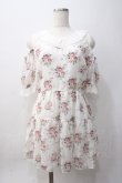 画像1: axes femme POETIQUE / 花柄シアーチェックミニワンピース M 白 Y-25-06-06-107-AX-OP-SZ-ZY (1)