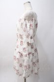 画像2: axes femme POETIQUE / 花柄シアーチェックミニワンピース M 白 Y-25-06-06-107-AX-OP-SZ-ZY (2)