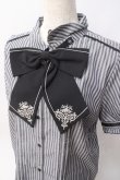画像3: axes femme / 刺繍リボンセットブラウス  ストライプ Y-25-06-09-068-AX-BL-SZ-ZY (3)