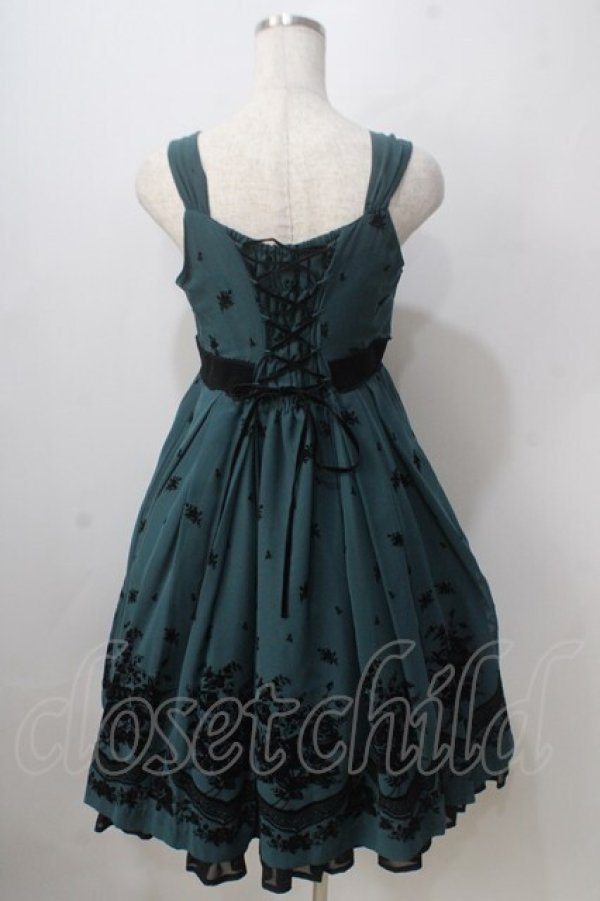 画像2: Victorian maiden / ローズフロッキーシフォンドレス  グリーン Y-25-06-24-029-CL-OP-SZ-ZY (2)