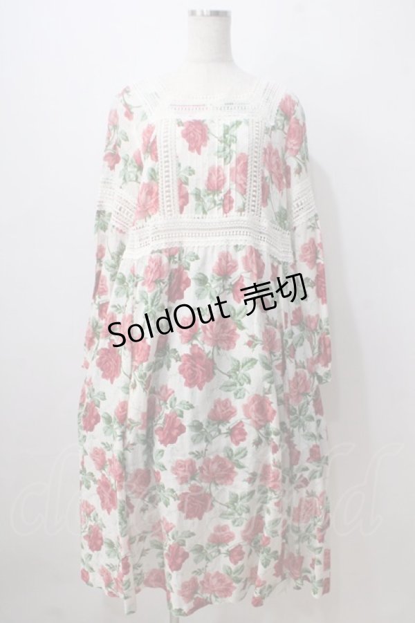 画像1: Jane Marple /Climbing roseエンパイアドレス  赤 Y-25-06-24-011-JM-OP-AS-ZT457 (1)