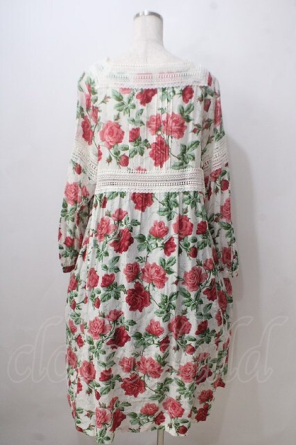 画像2: Jane Marple /Climbing roseエンパイアドレス  赤 Y-25-06-24-011-JM-OP-AS-ZT457 (2)