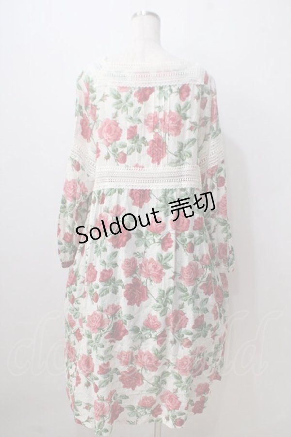 画像2: Jane Marple /Climbing roseエンパイアドレス  赤 Y-25-06-24-011-JM-OP-AS-ZT457 (2)