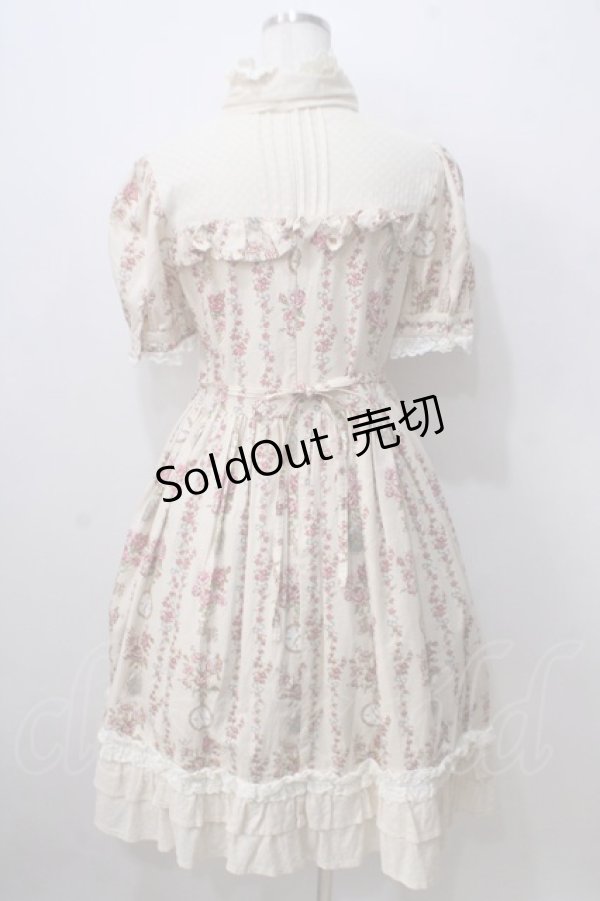 画像2: ALICE and the PIRATES / 薔薇の時間ワンピース  生成 Y-25-06-28-110-PA-OP-SZ-ZY (2)