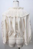 画像2: axes femme NOSTALGIE / 袖刺繍入りブラウス  生成 Y-25-07-01-064-AX-BL-SZ-ZY (2)