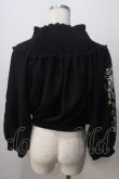 画像2: axes femme NOSTALGIE / 袖刺繍入りブラウス  黒 Y-25-07-01-067-AX-BL-SZ-ZI (2)