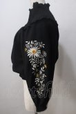 画像3: axes femme NOSTALGIE / 袖刺繍入りブラウス  黒 Y-25-07-01-067-AX-BL-SZ-ZI (3)