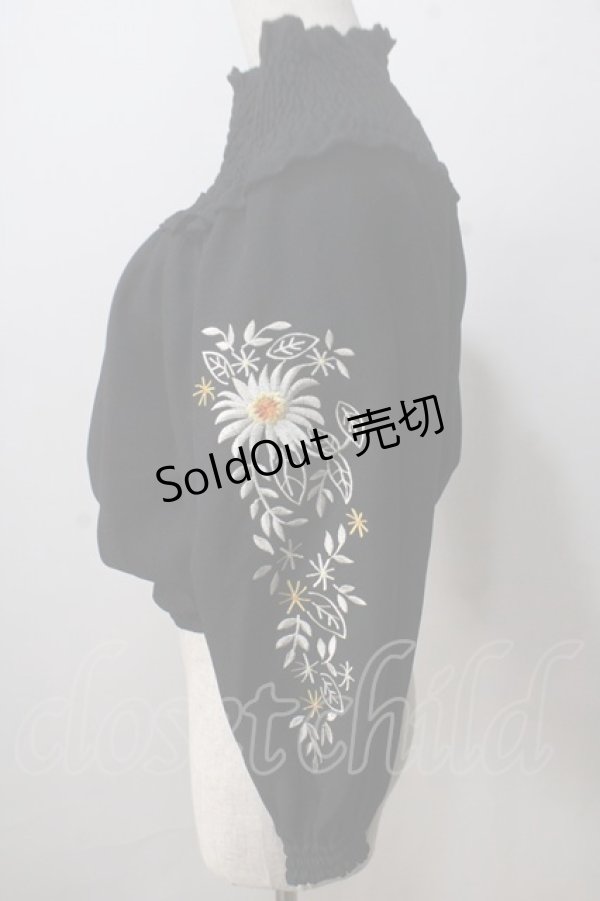 画像3: axes femme NOSTALGIE / 袖刺繍入りブラウス  黒 Y-25-07-01-067-AX-BL-SZ-ZI (3)