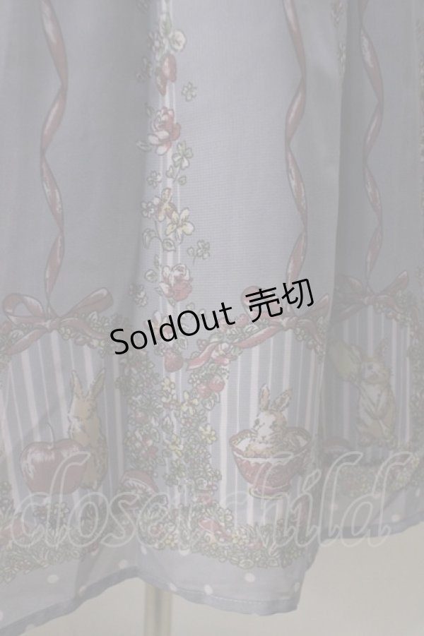 画像3: axes femme POETIQUE / うさぎ柄シフォンワンピース M ブルー Y-25-07-01-085-AX-OP-SZ-ZY (3)