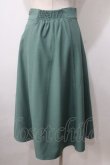 画像2: F i.n.t / ビット使いハイウエストフレアースカート F グリーン Y-25-07-01-115-CA-SK-SZ-ZT454 (2)
