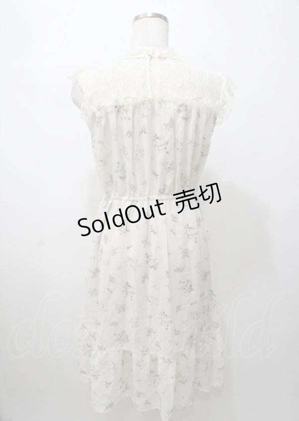 画像2: axes femme / レース切替花柄ワンピース  生成り Y-25-07-23-062-AX-OP-SZ-ZT476 (2)