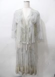 画像1: axes femme / レイヤード風レースガウン  グレー Y-25-07-23-078-AX-TO-SZ-ZY (1)