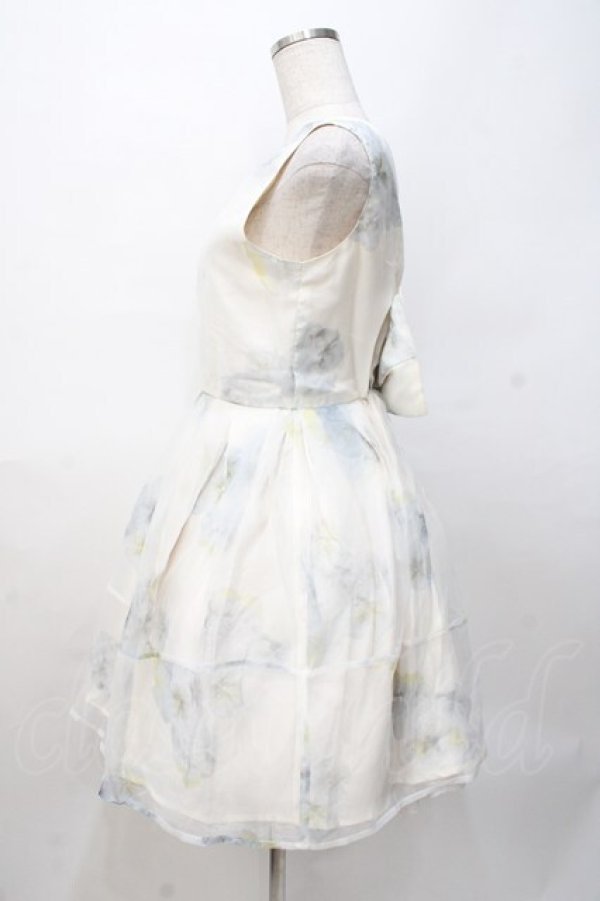 画像2: LIZ LISA / パンジー柄ワンピース 0 オフ Y-25-07-27-026-LO-OP-SZ-ZT007 (2)