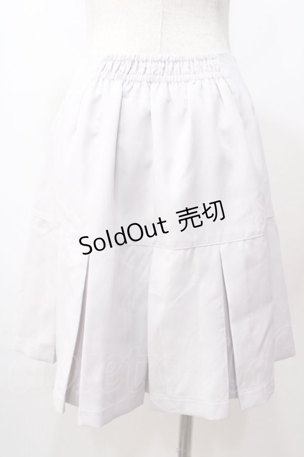 画像2: Ank Rouge / ダブルジップスカート  グレー Y-25-08-17-122-CA-SK-SZ-ZT512 (2)