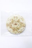 画像1: metamorphose / 缶バッチ  生成り Y-25-08-31-006-ME-ZA-SZ-ZY (1)