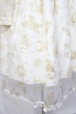 画像6: Angelic Pretty / Astrologyワンピース  アイボリー Y-25-08-31-049-AP-OP-SZ-ZY (6)