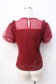 画像3: axes femme POETIQUE / 蝶ステッチ切替トップス  ワイン Y-25-08-31-023-AX-TO-SZ-ZI (3)
