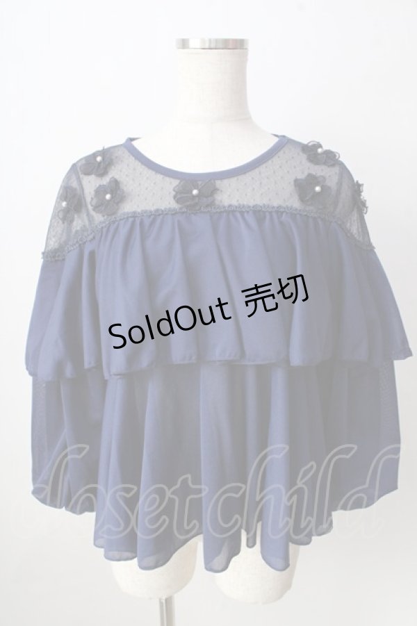 画像1: axes femme POETIQUE / フラワーモチーフドットチュールトップス  紺 Y-25-09-05-047-AX-TO-SZ-ZY (1)