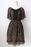 画像1: axes femme / 小花柄シフォンワンピース  グリーン Y-25-09-05-070-AX-OP-SZ-ZY (1)