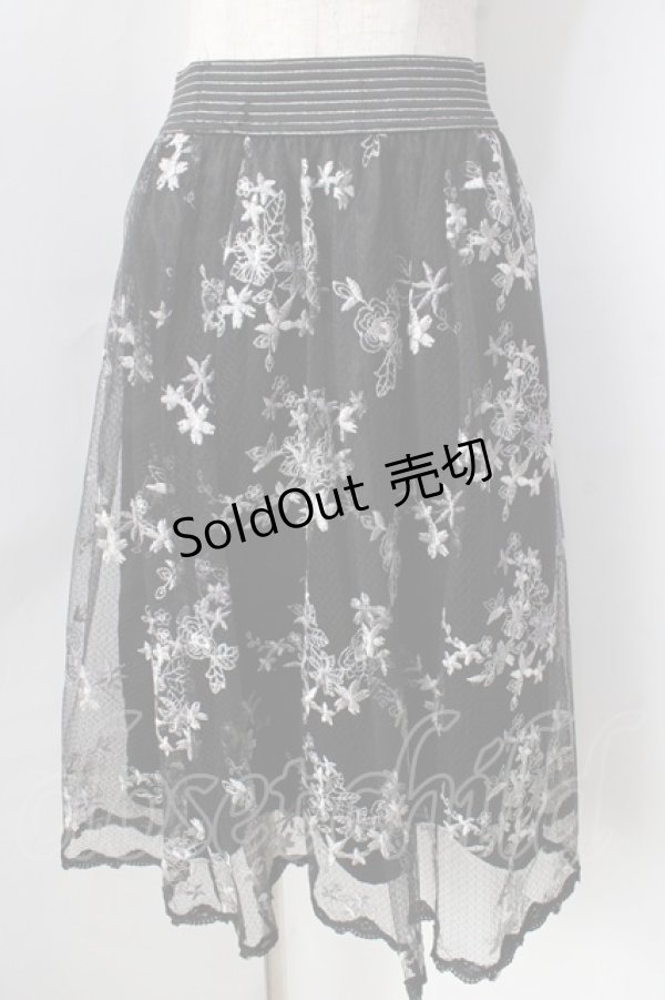 画像1: axes femme / カラー刺繍レーススカート  黒 Y-25-09-05-104-AX-SK-SZ-ZT182 (1)