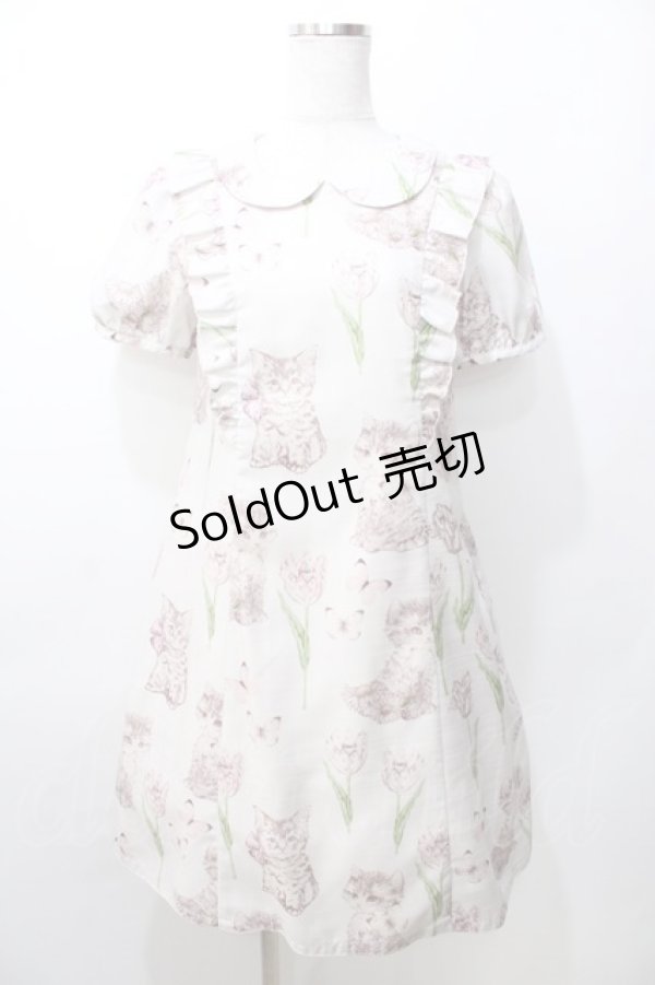 画像1: 【SALE】Emily Temple cute / kittenフリルワンピース   Y-25-09-11-013-ET-OP-SZ-ZT081 (1)