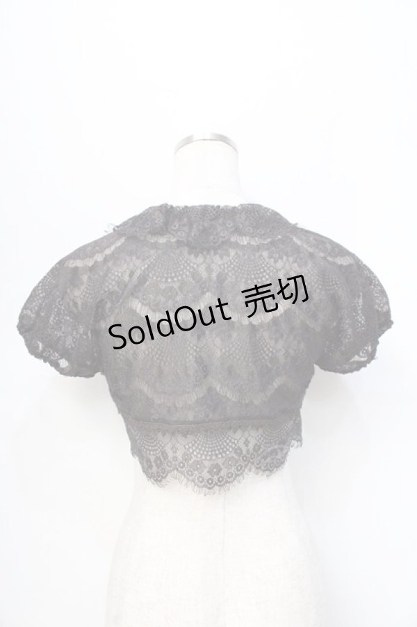 画像3: Mary Magdalene / ペルルレースボレロ  ブラウン Y-25-09-13-047-CL-TO-SZ-ZY (3)