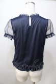 画像2: Ank Rouge / ワンポイント刺繍ドットチュールカットソー M コン Y-25-09-13-118-CA-TO-SZ-ZY (2)